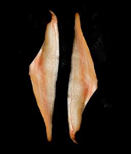 1 Piece Smoked Haddock