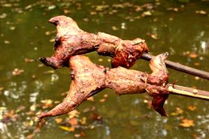 1 Piece Squirrel, Roasted