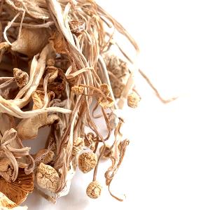 1 Piece Whole Enoki Mushrooms