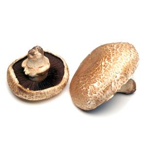 1 Piece Whole Portabella Mushrooms