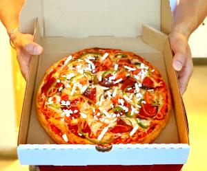 1 pizza (192 g) Harvest Wheat Crust Grilled Chicken & Vegetable Pizza