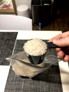 1 plate (255 g) 2-scoop Rice