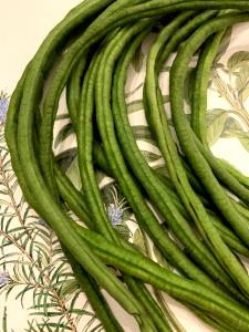 1 Pod Yardlong Bean, Raw