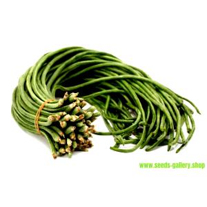 1 Pod Yardlong Bean