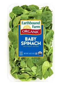 1 portion (15 g) Organic Spinach