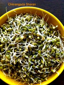 1 portion (17 g) Sprouts
