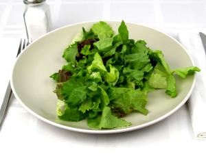 1 portion (204 g) SB Lettuce