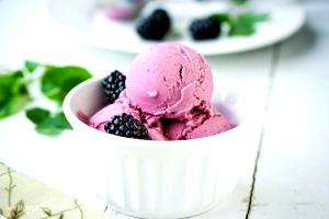 1 Portion Blackberry Frozen Yogurt