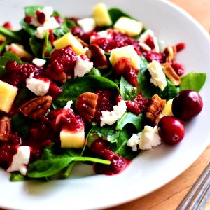 1 Portion Cranberry Vinaigrette Fall Salad