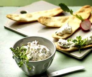 1 Portion Cream Cheese Spread With Radishes