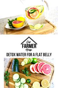 1 Portion Detox Water (Flat Belly)