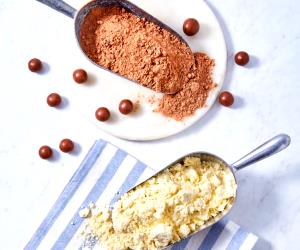 1 Portion Homemade Malted Milk Powders