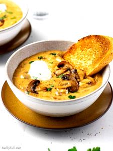 1 Portion Hungarian Mushroom Soup