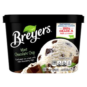 1 Portion Mint Chocolate Chip Ice Cream