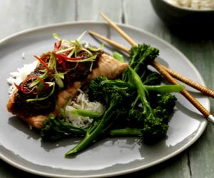 1 Portion Salmon With Ginger Tomato Sauce