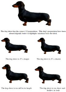 1 Portion Sausage Dogs