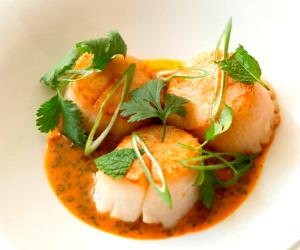 1 Portion Seared Scallops With Carrot And Ginger Sauce (Hestan Cue™)