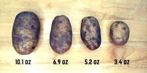 1 potato (5.3 oz) Potatoes