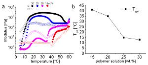 1 pouch (122 g) Iso 20 Gel