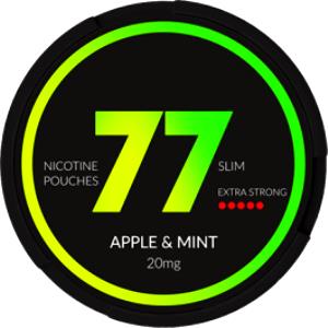 1 pouch (77 g) Green Apple Cinnamon