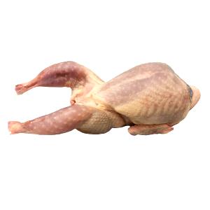 1 Pounds (453.0 G) Quail Meat, cooked