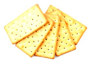 1 Rectangular Cracker Snack Cracker