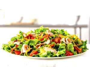 1 salad (285 g) Roast Turkey Farmhouse Salad