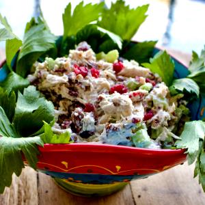 1 salad (298 g) Cranberry Pecan Chicken Salad (Savor Size)