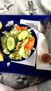 1 salad Side Salad (No Dressing)