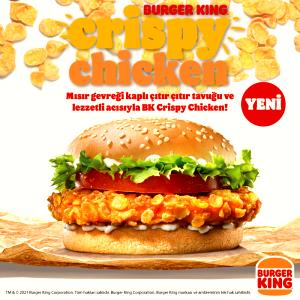 1 sandwich (13 oz) Crispy Chicken Sandwich