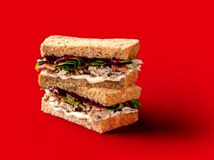 1 sandwich (259 g) Holiday Lunch