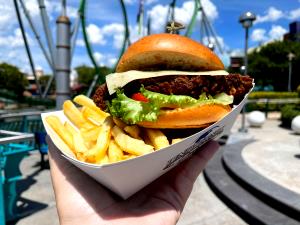 1 Sandwich Chicken Sandwich, Double Crunch