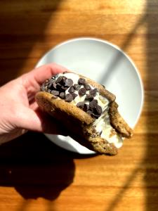 1 Sandwich Cookie Ice Cream Sandwich Singles