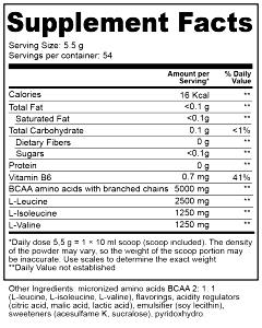1 scoop (16 g) Amino