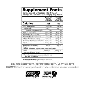 1 scoop (31 g) Endurance Fuel