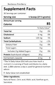 1 scoop (31.3 g) Resilience Collagen Protein