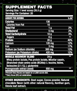 1 scoop (35.5 g) Performance Recovery