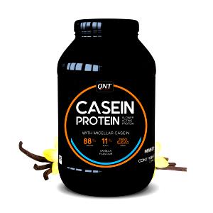 1 scoop (39 g) Casein Protein