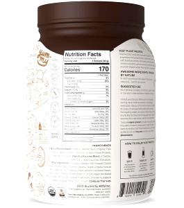 1 scoop (39 g) Organic Protein