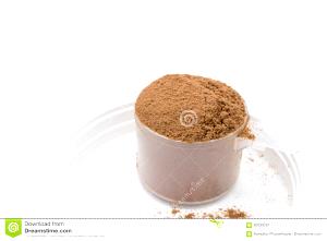1 Scoop Whey Protein, Chocolate