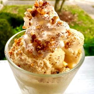 1 serving (1 oz) Eggnog Frozen Yogurt