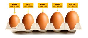 1 serving (100 g) Two Large Fresh Eggs