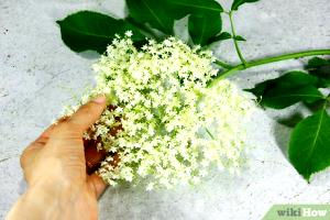 1 serving (100 ml) Elderflower