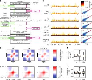 1 serving (19 g) Hi-C Add-In (Medium)