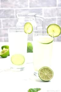 1 serving (21 g) Fresh Lime Add-In (Large)