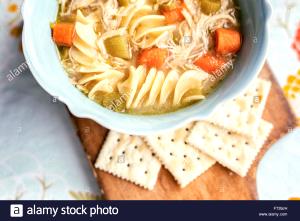 1 serving (238 g) Chicken-N-Noodles with Saltine Crackers
