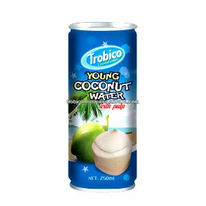1 serving (250 ml) Coconut with Pulp Juice