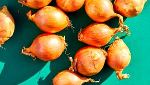 1 serving (26 g) Onions