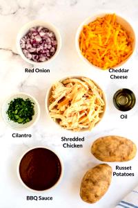 1 serving (275 g) Chicken Protein Potato Skins (Small)