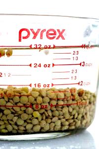 1 serving (3 oz) Lentils